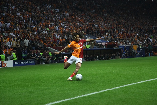 不可或缺的 不可或缺的