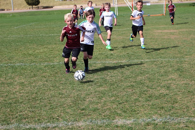 维金斯的出 维金斯的出