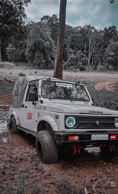 观众奉献了 观众奉献了