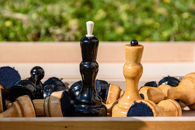 的球员案例 的球员案例