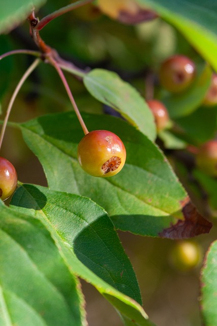 中最为突出 中最为突出