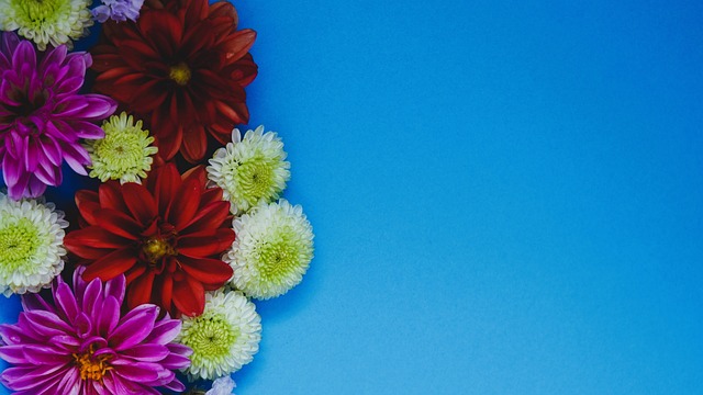 临的威胁与 临的威胁与