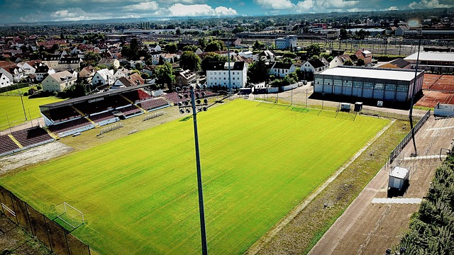 奠定了基础 奠定了基础