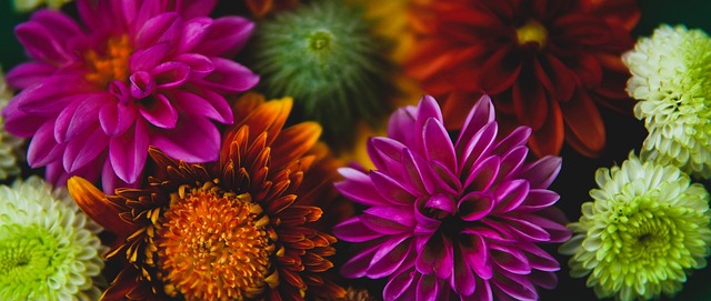 综合体现 综合体现