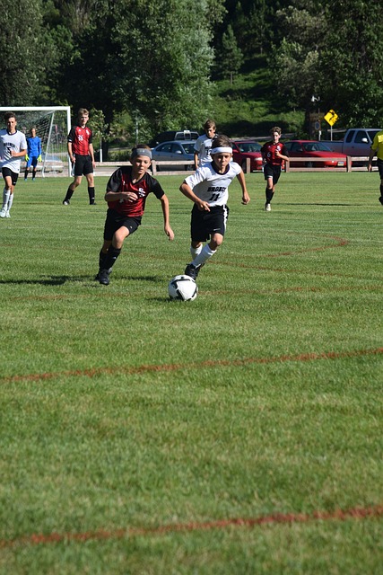 每一个队员 每一个队员