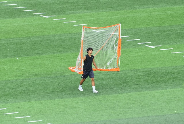 範弗裏特狀 範弗裏特狀