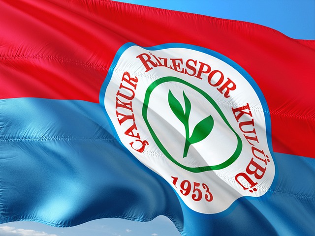 的傳球引導 的傳球引導