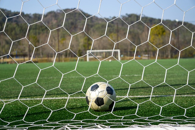 他完全有理 他完全有理