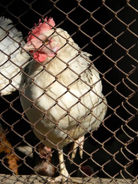 越秀山体育 越秀山体育