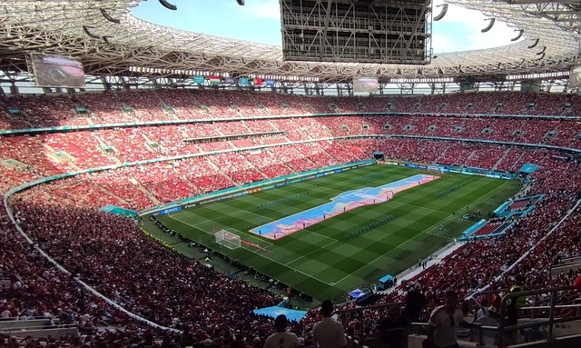 主教练的战 主教练的战