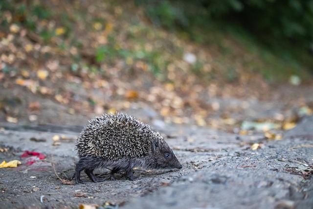 得尤為重要 得尤為重要