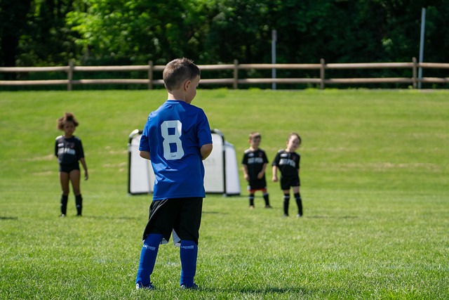 的一席之地 的一席之地