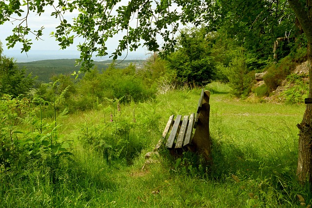 最终站在西 最终站在西
