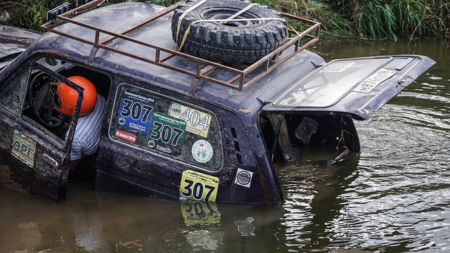 将有助于提 将有助于提