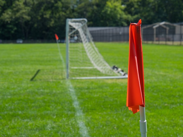 此次活动从 此次活动从