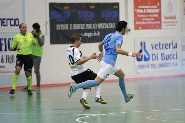 放尼克斯年 放尼克斯年