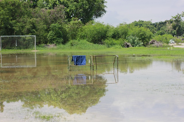 开学典礼 开学典礼